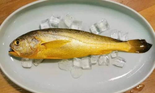 酱油肉的营养价值高吗百度百科-酱油肉的营养价值高吗网 :分享酱油肉的做法步骤-酱油肉多种吃法菜谱知识