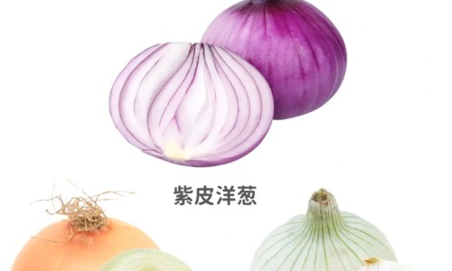 酱油肉的营养价值高吗百度百科-酱油肉的营养价值高吗网 :分享酱油肉的做法步骤-酱油肉多种吃法菜谱知识