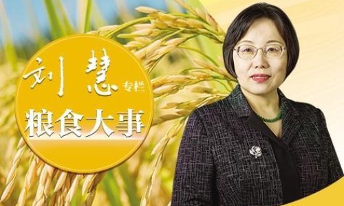 酱油肉的做法步骤-酱油肉的营养价值高吗网 :分享酱油肉的做法步骤-酱油肉多种吃法菜谱知识
